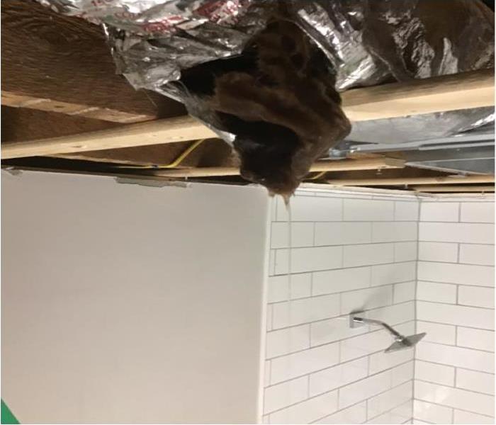 leaking wet insulation in bathroom 