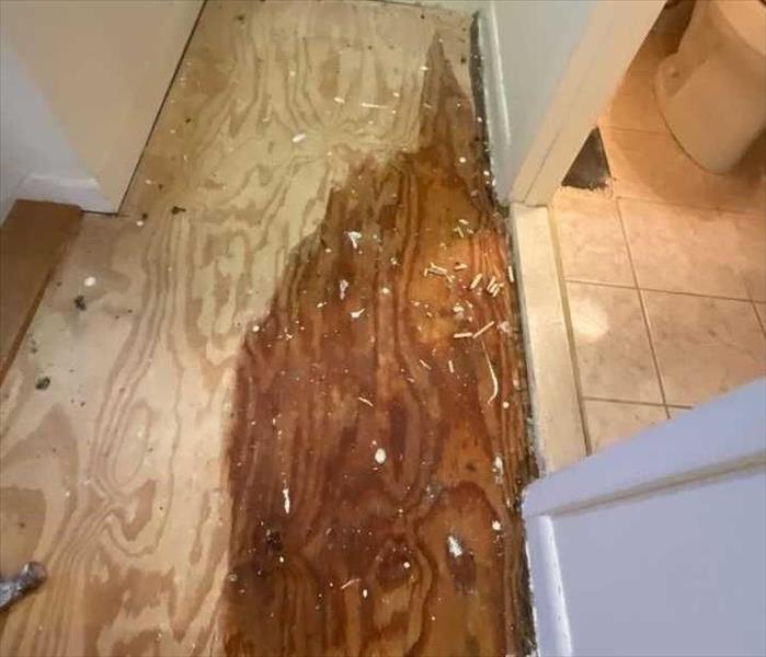 A bathroom-adjacent corridor with removed flooring and a visibly saturated subfloor near the bathroom threshold