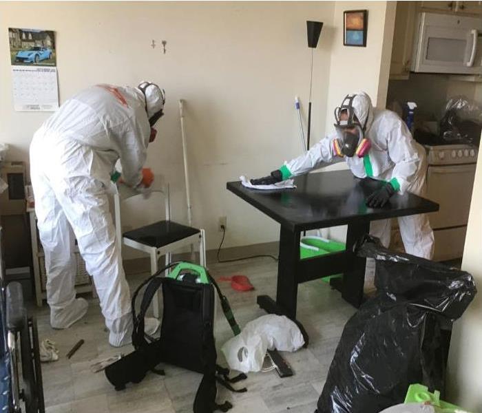 Technicians in full PPE cleaning home