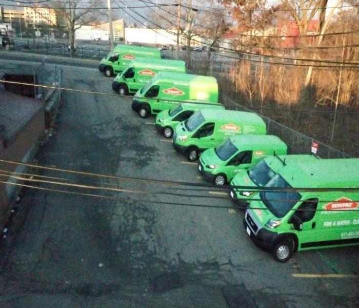 eight Servpro trucks parked diagonally in a lot