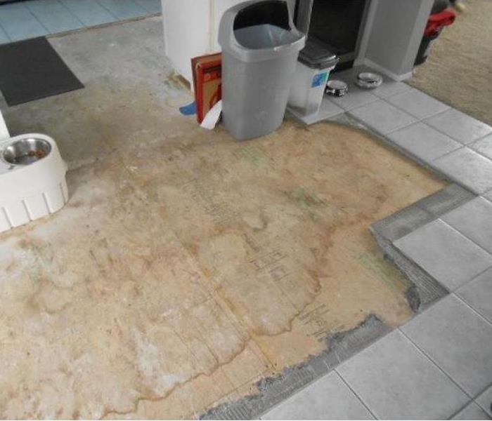 Water Damaged Floor