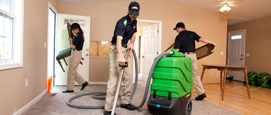 Mattapan, MA cleaning services